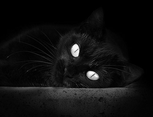 中国足球国际比赛影响力逐步扩大，品牌价值不断提升，中国国家足球队的比赛