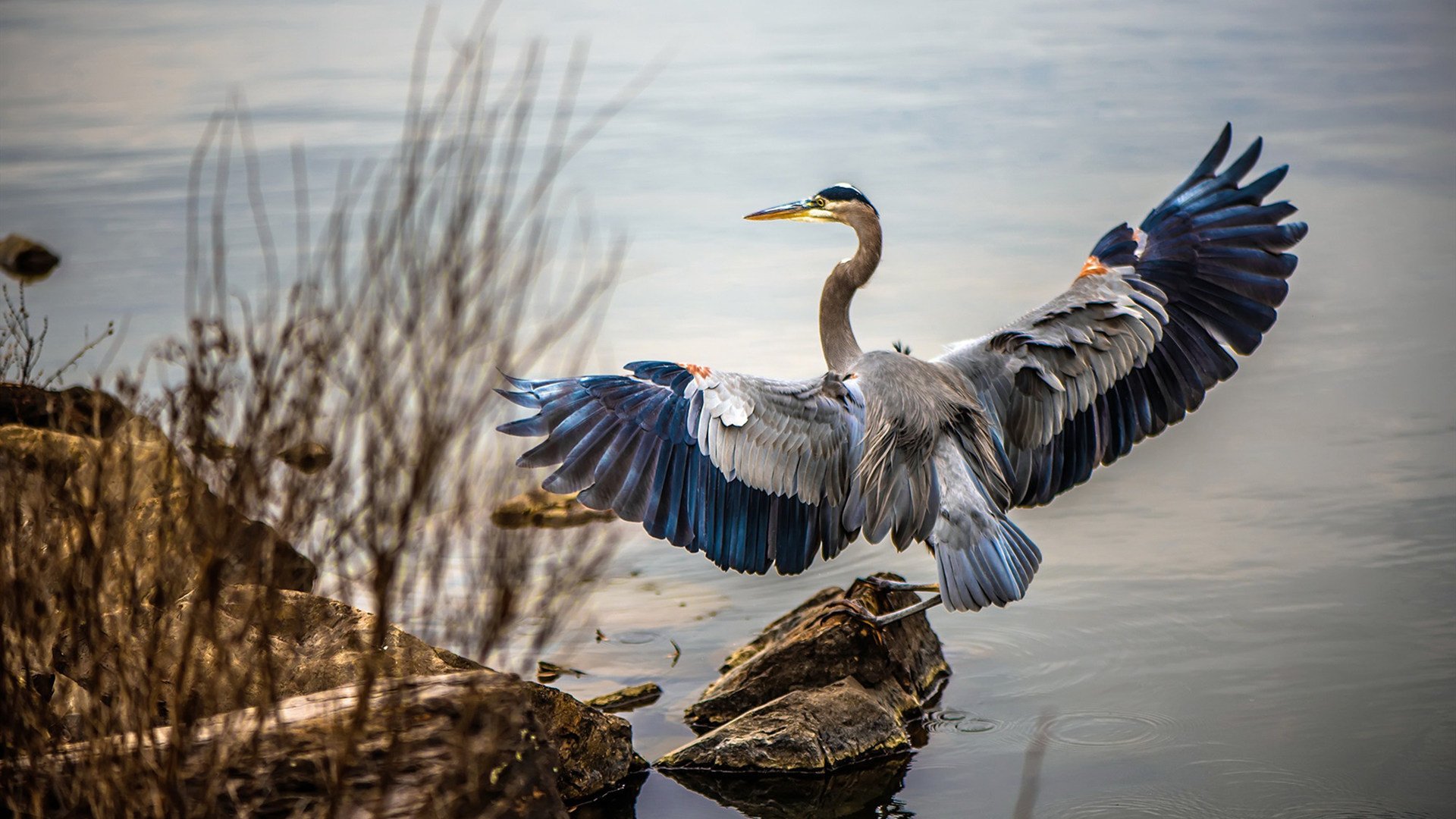 台球运动员跨界合作,推出联名款配件,台球签约球员