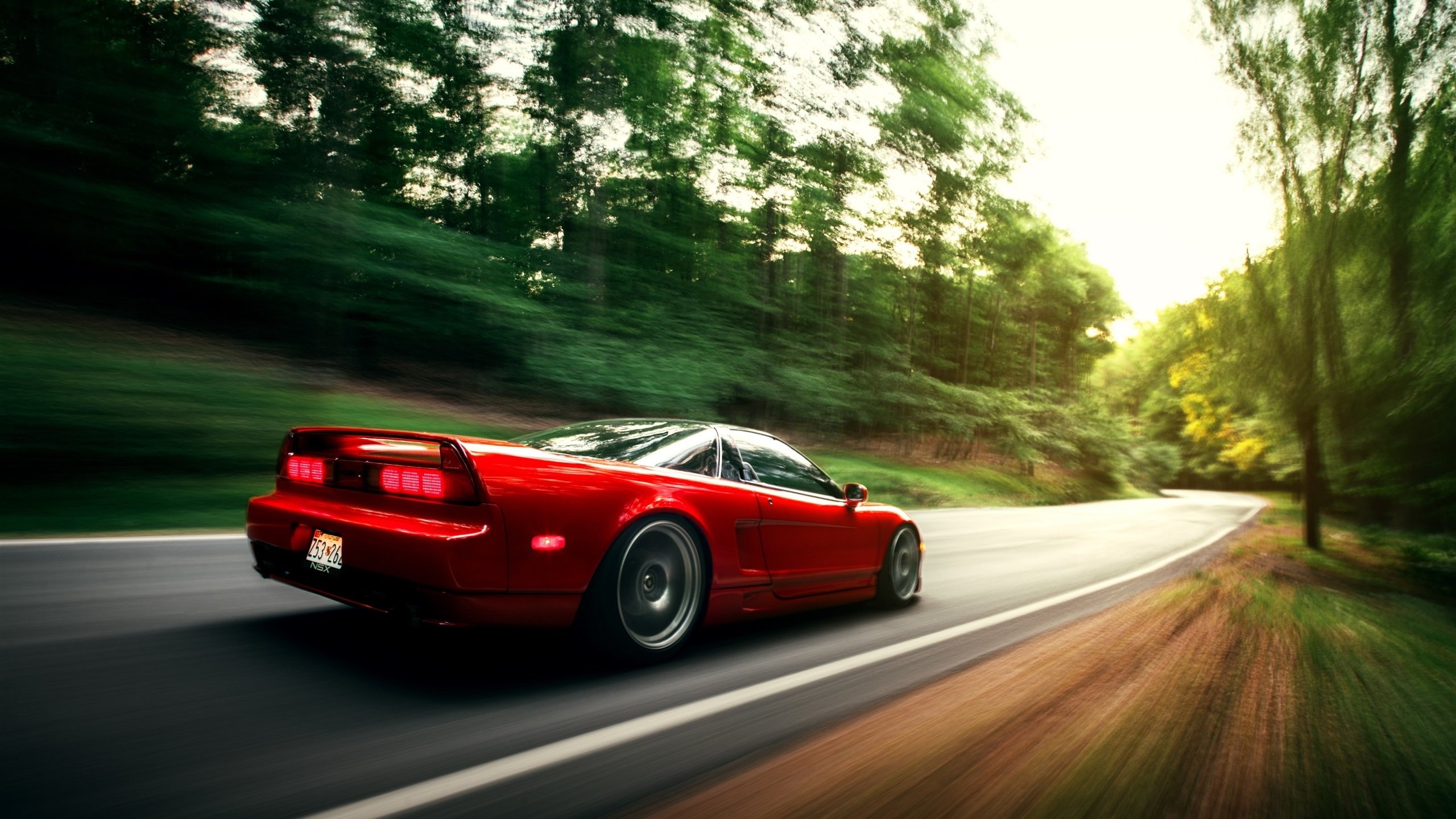 墨西哥马术协会与兽医合作,开展马匹疾病预防与治疗研究。,墨西哥木马