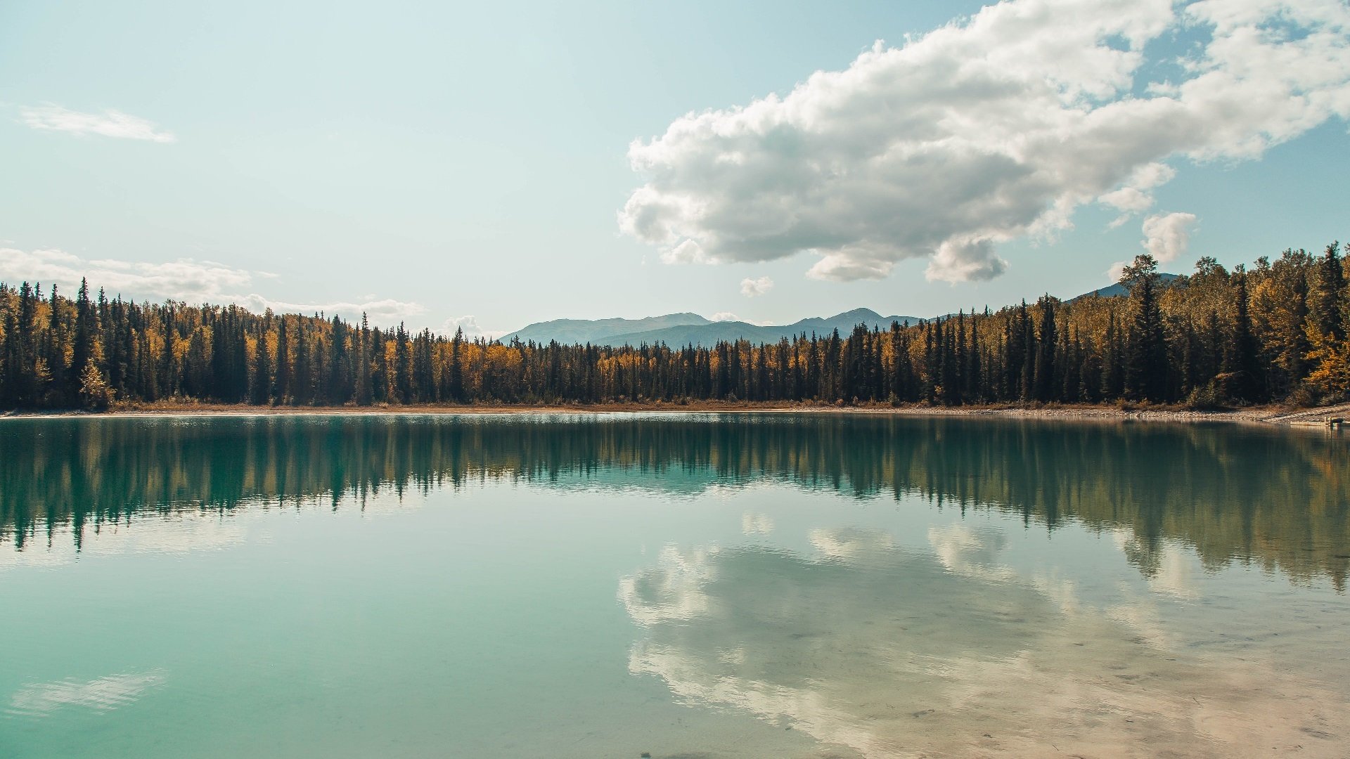 墨西哥马术协会与学校合作,开展马术教育课程,推广马术文化。
