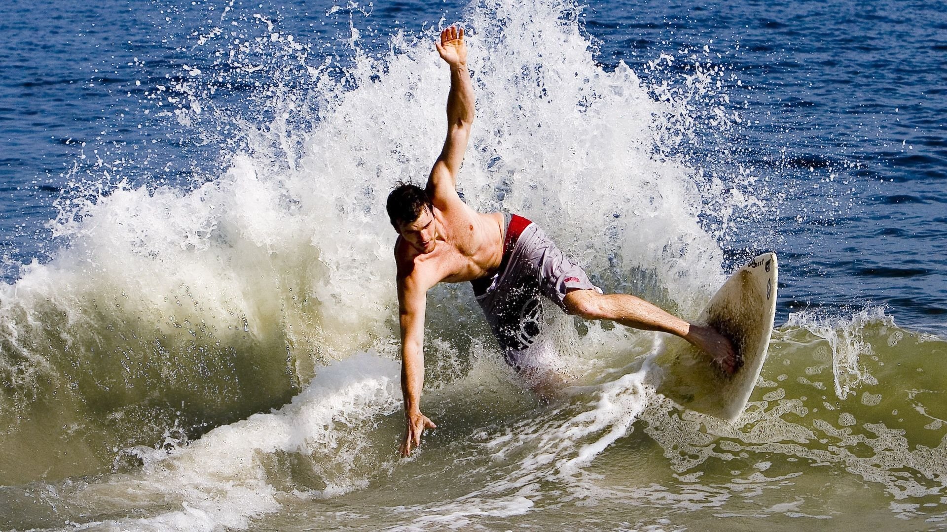 德国马术协会推出马术运动员职业发展规划,促进人才培养。,德国马术选手