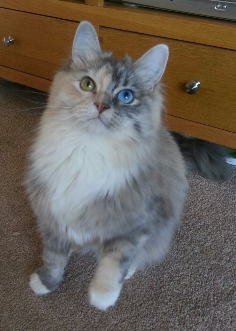 支持瑜伽产业发展，推动经济增长，瑜伽市场