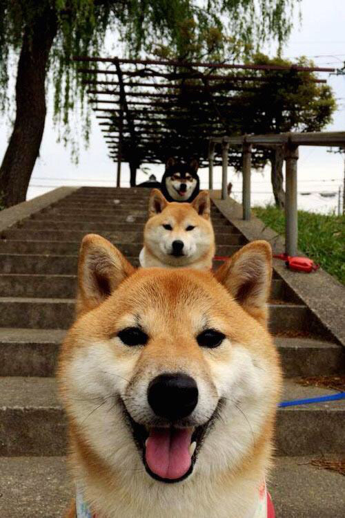 瓦伦西亚客场0-2不敌西班牙人,遭遇三连败,瓦伦西亚队主场