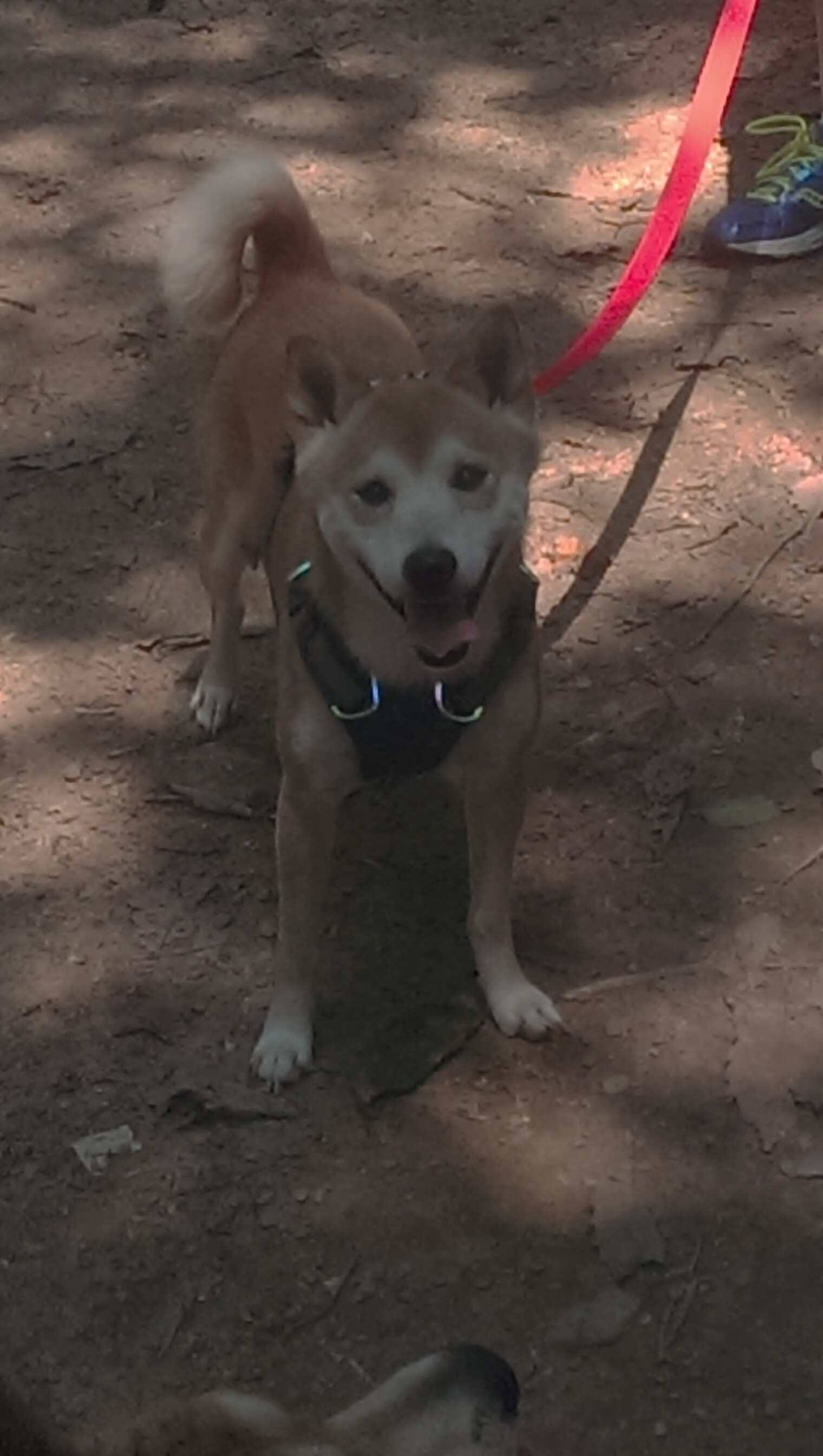 瓦伦西亚客场胜巴塞罗那,大逆转胜利,瓦伦西亚vs巴萨