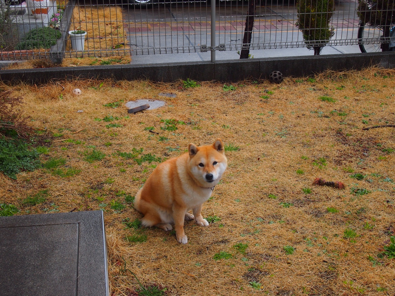 裁判尺度对比赛公正性有多大影响,裁判公平公正