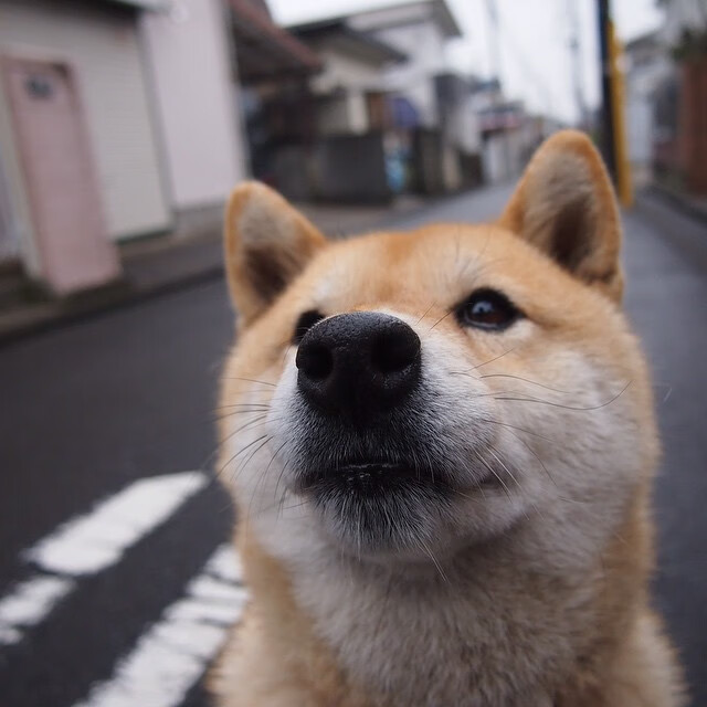 NBA球队球风变化趋势,nba球队风格
