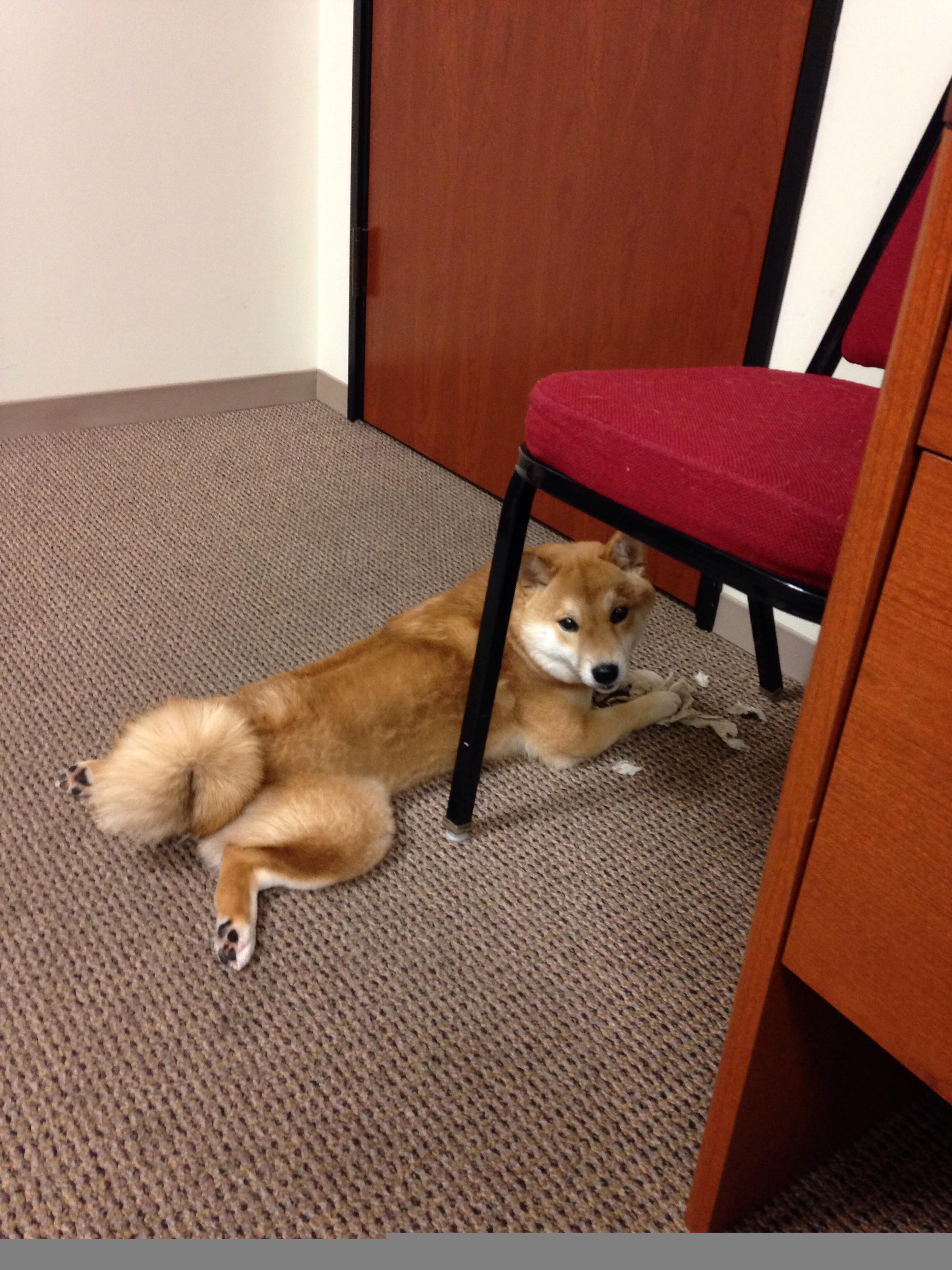 中超球队反击起速与最终得分关系建模,足球反超是什么意思