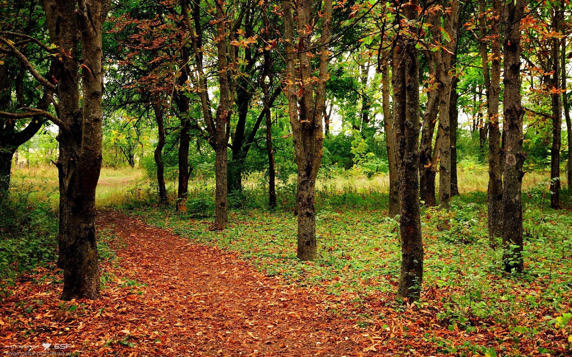 英超裁判语言模糊性对比赛节奏影响的实证分析,英超裁判组