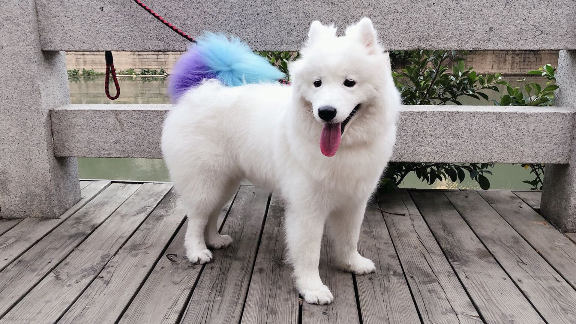 国家冬季项目训练中心配套设施升级完工,国家冬训基地