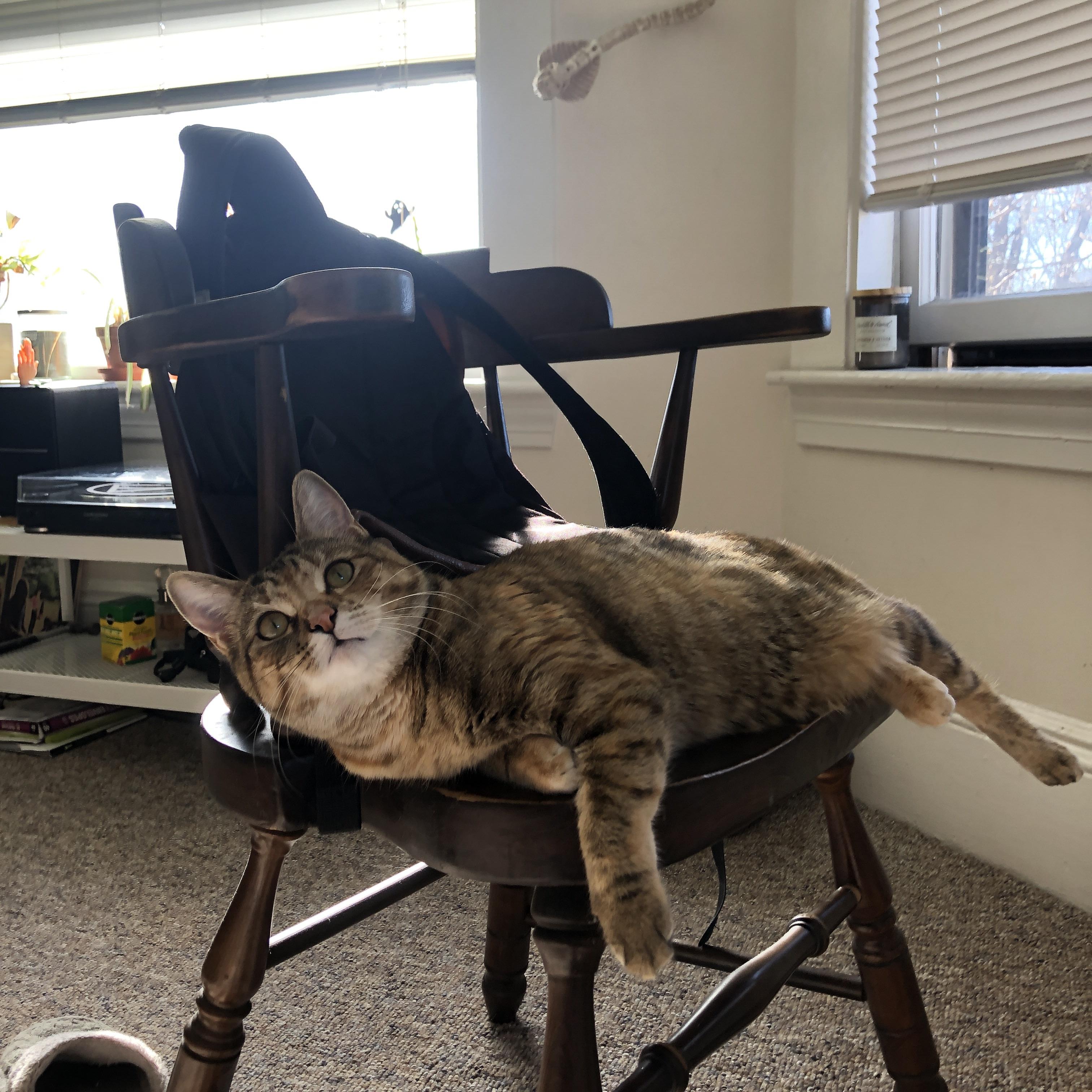 节奏强度是否决定比赛观赏性和紧张度,节奏强度是否决定比赛观赏性和紧张度呢