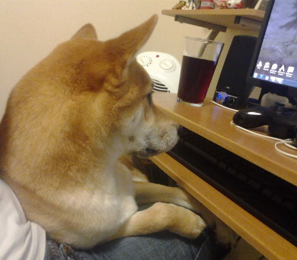 进攻节奏与得分效率是否存在拐点关系,进攻效率是什么意思