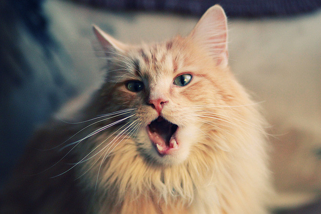 巴雷特:背后稳如磐石,带领全黑队在关键时刻发挥巨大战术影响