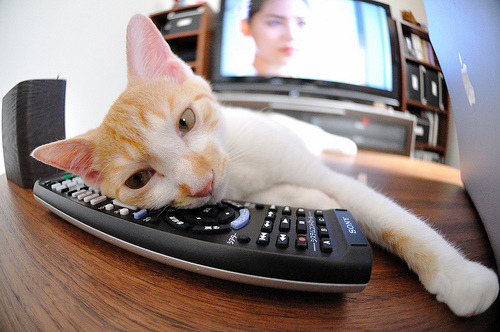 斯洛文尼亚女篮在欧洲锦标赛中取得突破，环环相扣