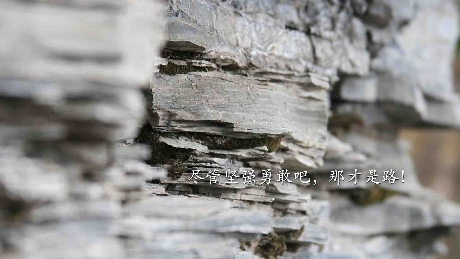 篮球训练课程引入动作捕捉技术，篮球技术移动